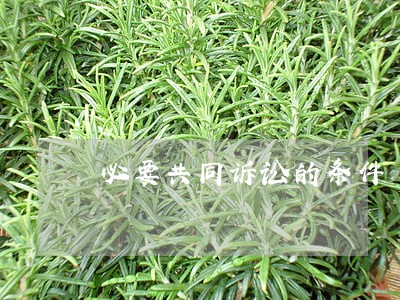 必要共同诉讼的条件 必要共同诉讼的条件