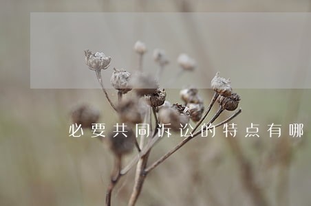 必要共同诉讼的特点有哪些 必要共同诉讼的特点有哪些