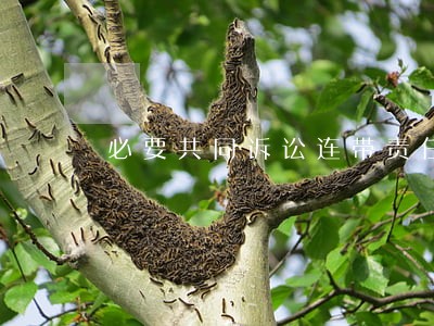必要共同诉讼连带责任