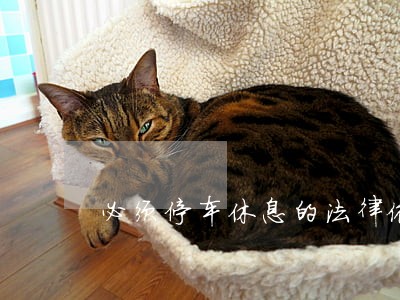 必须停车休息的法律依据 必须停车休息的法律依据