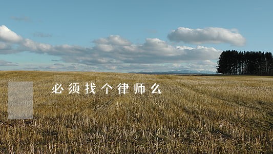 必须找个律师么 必须找个律师么
