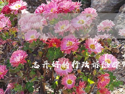 志丹好的行政诉讼律师事务所地址
