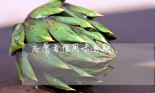 志愿者信用卡逾期 志愿者信用卡逾期