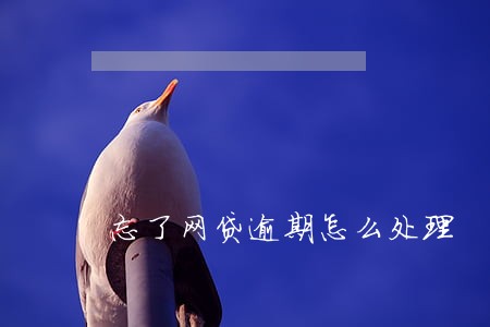 忘了网贷逾期怎么处理 忘了网贷逾期怎么处理