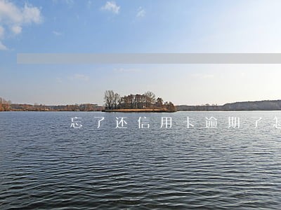 忘了还信用卡逾期了怎么办上海 忘了还信用卡逾期了怎么办上海