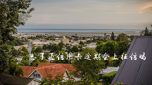 忘了还信用卡逾期会上征信吗 忘了还信用卡逾期会上征信吗