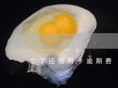 忘了还信用卡逾期费