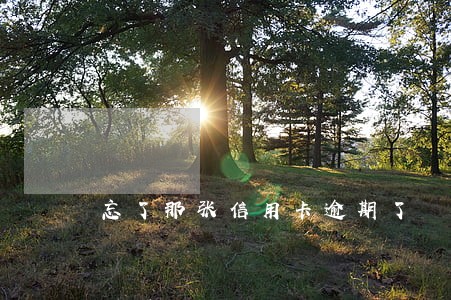 忘了那张信用卡逾期了 忘了那张信用卡逾期了