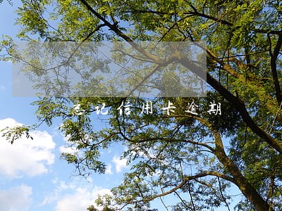 忘记信用卡逾期 忘记信用卡逾期
