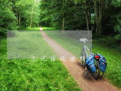 忘记报税逾期2天 忘记报税逾期2天