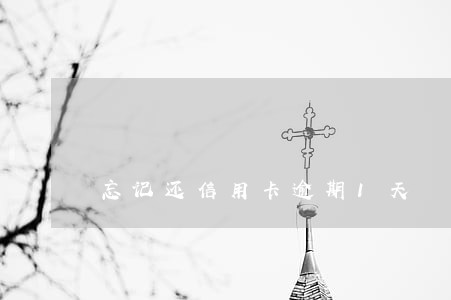 忘记还信用卡逾期1天 忘记还信用卡逾期1天