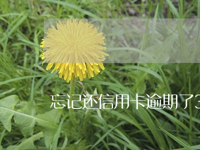 忘记还信用卡逾期了3天怎么办 忘记还信用卡逾期了3天怎么办