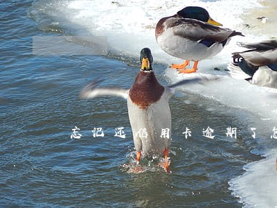 忘记还信用卡逾期了怎么办光大