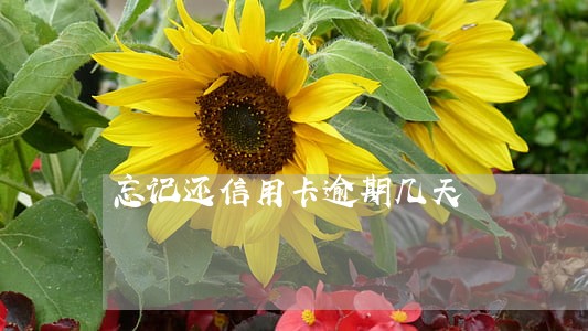 忘记还信用卡逾期几天 忘记还信用卡逾期几天