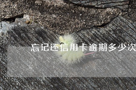 忘记还信用卡逾期多少次 忘记还信用卡逾期多少次