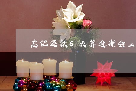 忘记还款6天算逾期会上征信吗 忘记还款6天算逾期会上征信吗