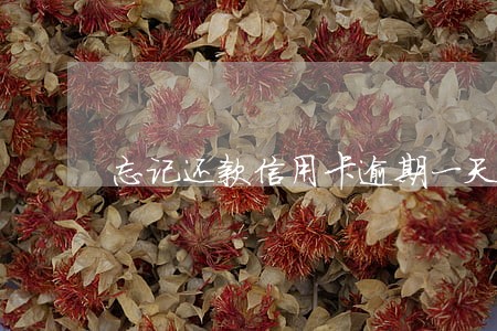 忘记还款信用卡逾期一天怎么办 忘记还款信用卡逾期一天怎么办