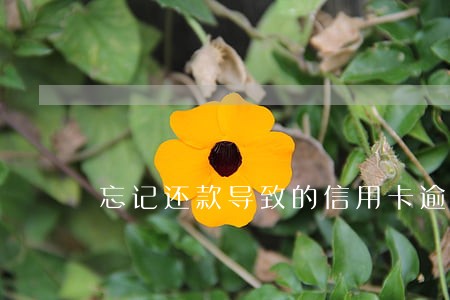 忘记还款导致的信用卡逾期怎么办
