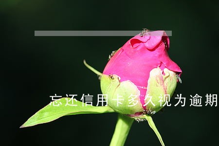 忘还信用卡多久视为逾期 忘还信用卡多久视为逾期