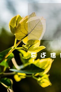 忘还信用卡逾期 忘还信用卡逾期