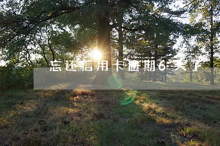 忘还信用卡逾期6天了 忘还信用卡逾期6天了