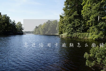 忘还信用卡逾期怎么撤销征信