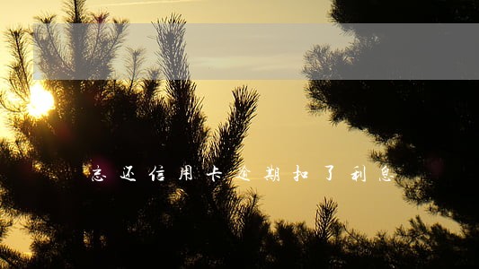 忘还信用卡逾期扣了利息 忘还信用卡逾期扣了利息
