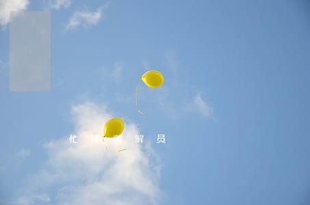 忙坏调解员 忙坏调解员