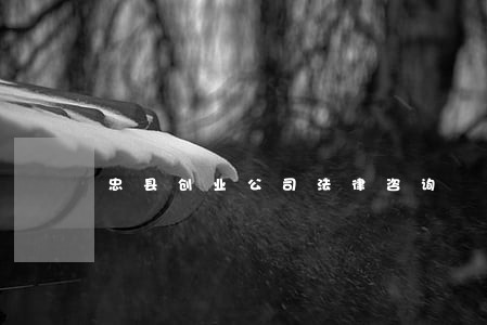 忠县创业公司法律咨询 忠县创业公司法律咨询