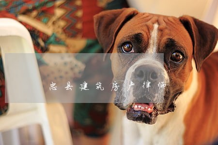 忠县建筑房产律师 忠县建筑房产律师