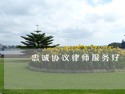 忠诚协议律师服务好 忠诚协议律师服务好