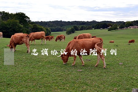 忠诚协议的法院判例 忠诚协议的法院判例