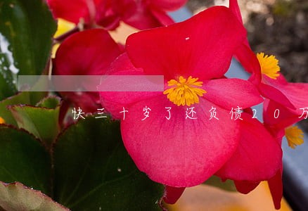 快三十岁了还负债20万都逾期了 快三十岁了还负债20万都逾期了