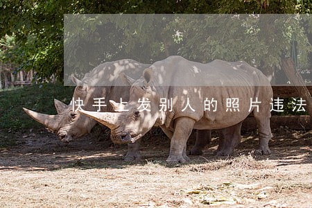 快手上发别人的照片违法吗