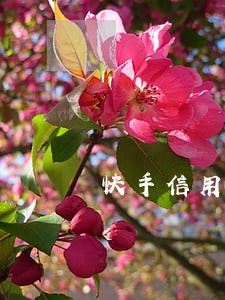快手信用卡逾期是真的吗 快手信用卡逾期是真的吗