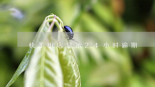 快手小店显示24小时逾期 快手小店显示24小时逾期