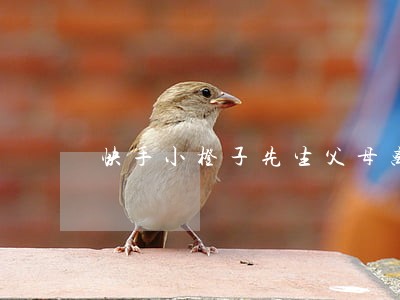 快手小橙子先生父母离婚 快手小橙子先生父母离婚