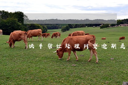 快手帮忙处理网贷逾期是真的么 快手帮忙处理网贷逾期是真的么