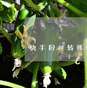 快手粉丝转账收钱不违法吧