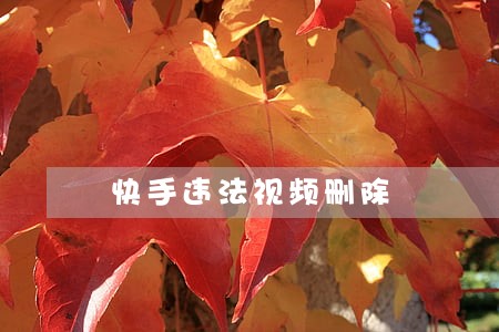 快手违法视频删除 快手违法视频删除