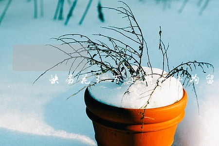 快易花3万逾期一年拘留 快易花3万逾期一年拘留