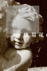 快易花6000逾期半年 快易花6000逾期半年