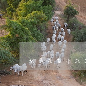 快易花能不能只还本金 快易花能不能只还本金