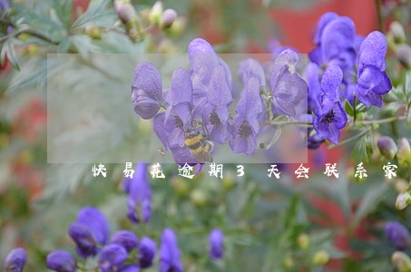 快易花逾期3天会联系家人吗 快易花逾期3天会联系家人吗