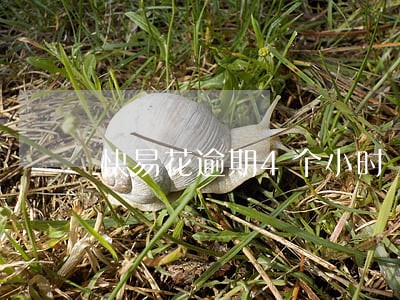 快易花逾期4个小时 快易花逾期4个小时