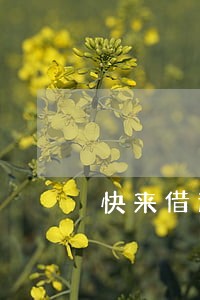 快来借逾期一天70合法吗 快来借逾期一天70合法吗
