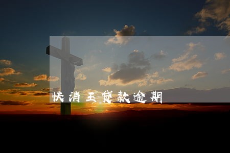 快消王贷款逾期