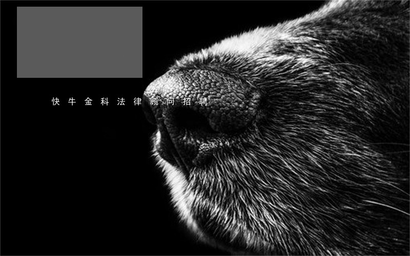快牛金科法律顾问招聘 快牛金科法律顾问招聘