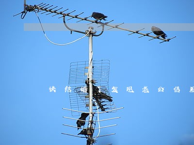 快结婚了发现老公信用卡逾期 快结婚了发现老公信用卡逾期