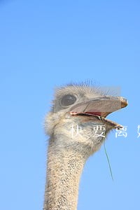 快要离婚了我的孩子怎么办 快要离婚了我的孩子怎么办